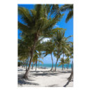 Suche nach atlantik poster Ozean