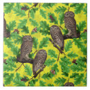 Suche nach eule fliesen Wald
