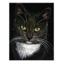 Suche nach kleine schwarze katze poster Katzenportrait