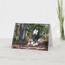 Suche nach runen karten Natur