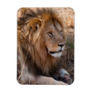 Suche nach tageszeit magnete Tier