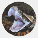 Suche nach viper aufkleber Schlange