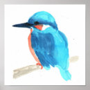 Suche nach eisvogel poster Blau