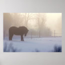 Suche nach isländische pferde poster Natur