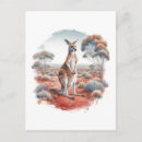 Suche nach känguru postkarten Australien