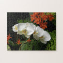 Suche nach weiße orchideen puzzle Blume