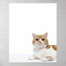 Suche nach falten poster Niedlich