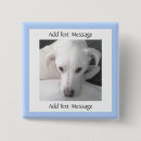 Suche nach labrador retriever buttons Niedlich