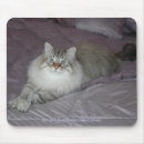 Suche nach katzengeschenke mousepads Haustiere