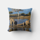 Suche nach afrikanischer elefant kissen Farbbild