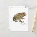 Suche nach amphibien postkarten Reptil