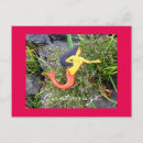 Suche nach meerjungfrau postkarten Strand