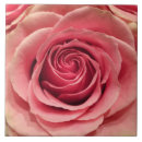 Suche nach pfirsich blume fliesen Keramik