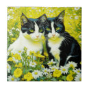 Suche nach sitz fliesen Katzen