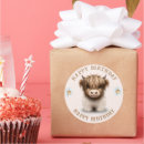 Suche nach schottisch aufkleber Hochlandkuh