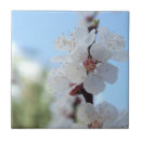 Suche nach pfirsich blume fliesen Dekorativ