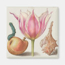 Suche nach vintage illustration magnete Darstellung