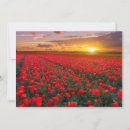 Suche nach netherlands karten Landschaft
