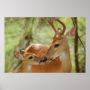 Suche nach bambi poster Tiere