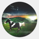 Suche nach sonnenuntergang foto aufkleber Pferd