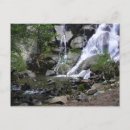 Suche nach grizzly postkarten Park