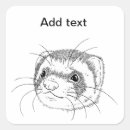 Suche nach niedliches frettchen aufkleber Haustier