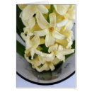 Suche nach hyazinthe postkarten Grün