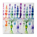 Suche nach retina poster Anatomie