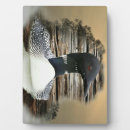 Suche nach ballone fotoplatten Vogelvogel