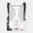 Suche nach border collie post it Niedlich