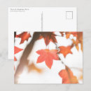 Suche nach rot blätter postkarten Herbstfarben