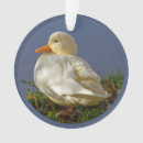 Suche nach weißer vogel ornamente Für sie