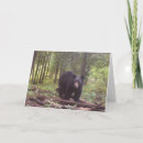 Suche nach schwarzer bär karten Baum