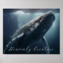 Suche nach humpback whale poster Meere
