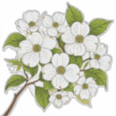 Suche nach weißer hartriegel Blumen
