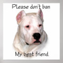 Suche nach dogo argentino poster Argentinisch