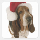 Suche nach basset aufkleber Weihnachtsmannmütze
