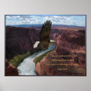 Suche nach jesaja 40 poster Adler