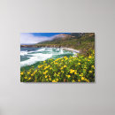 Suche nach alpine leinwandbilder Blume