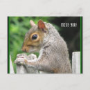 Suche nach neugierig postkarten Natur