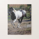 Suche nach paint horse puzzle Farbe