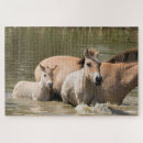 Suche nach fohlen puzzle Ranch