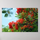 Suche nach nature photography poster Trees
