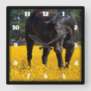 Suche nach horse wanduhren Equine