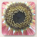 Suche nach sunflower untersetzer Blumenreich