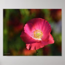 Suche nach poppy poster Grün