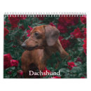 Suche nach dackel kalender Haustier