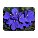 Suche nach die royals magnete Blau