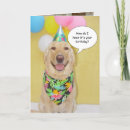 Suche nach hundefoto karten Lustig