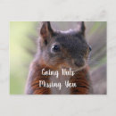 Suche nach eichhörnchen mit nuss postkarten Liebe